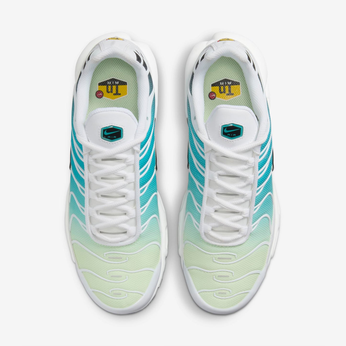 Nike Air Max Plus Dusty Cactus